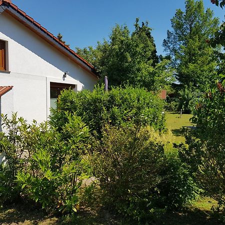Ferienhaus In 柏林附近贝尔瑙 外观 照片
