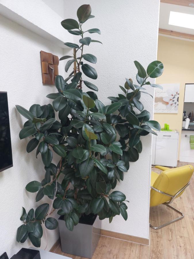 Ferienhaus In 柏林附近贝尔瑙 外观 照片
